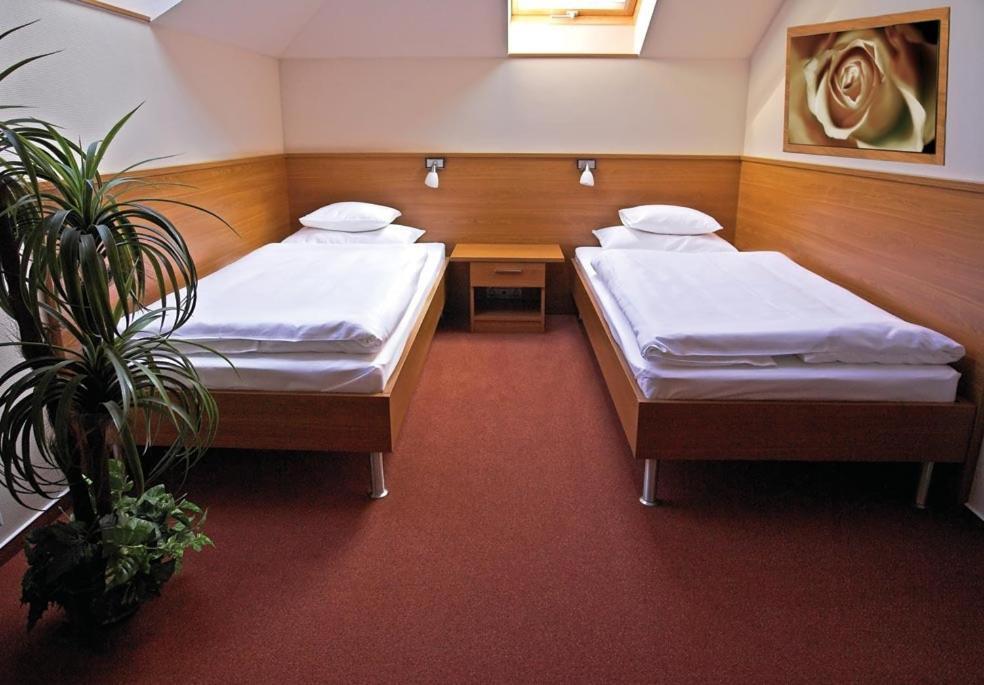 Hotel Promedicum Panzio Veszprém Habitación foto